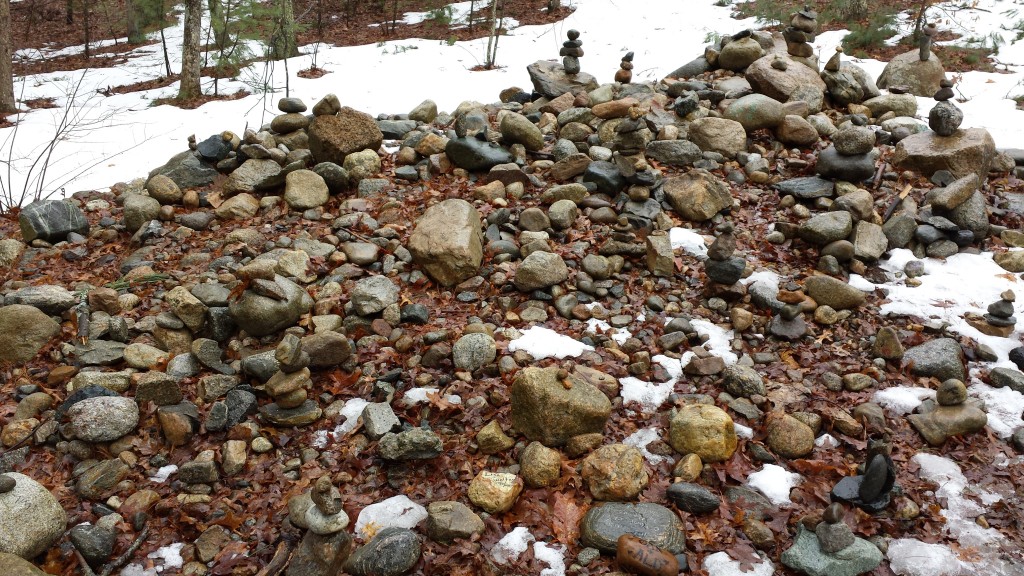 rocks at Walden Pond